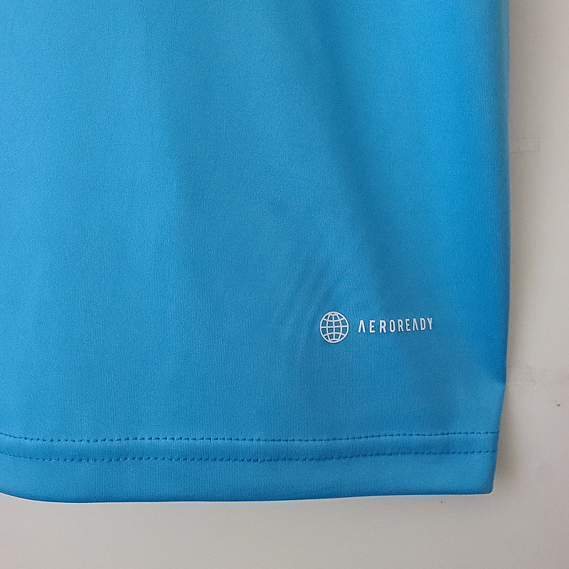 2022 Argentina Training Jersey - Blue (527E)
